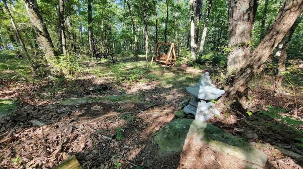 Photo of Outdoor in Rising Fawn