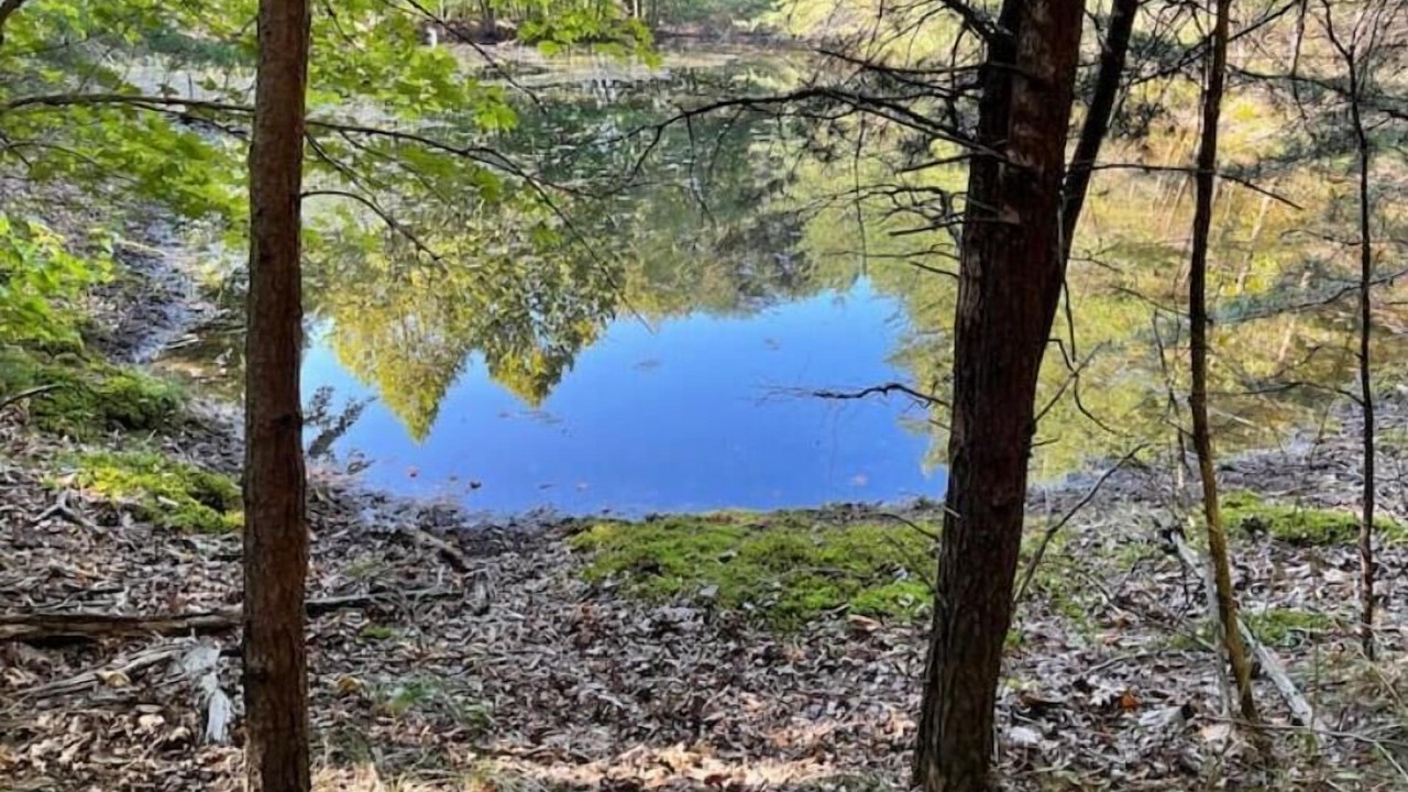 Photo of Others in Rising Fawn