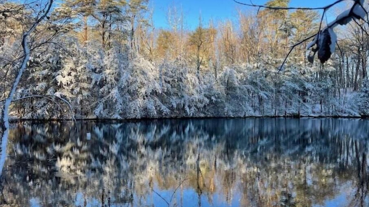 Photo of Others in Rising Fawn