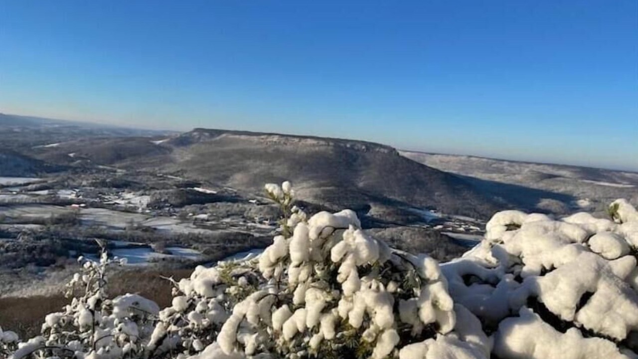 Photo of Others in Rising Fawn