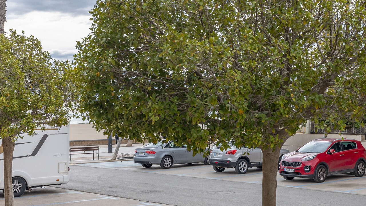 Photo of Outdoor in Alboraya
