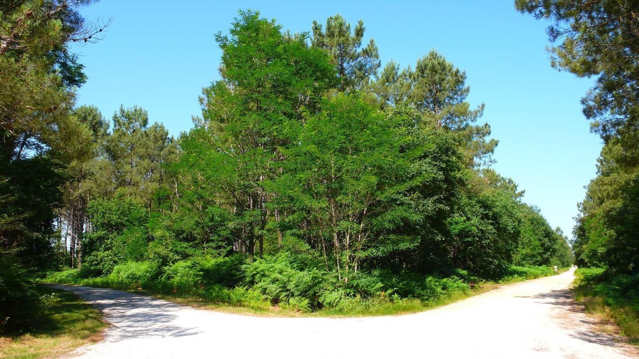 Photo of Others in Le Barp