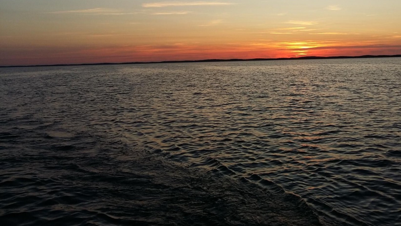 Photo of Others in Le Barp