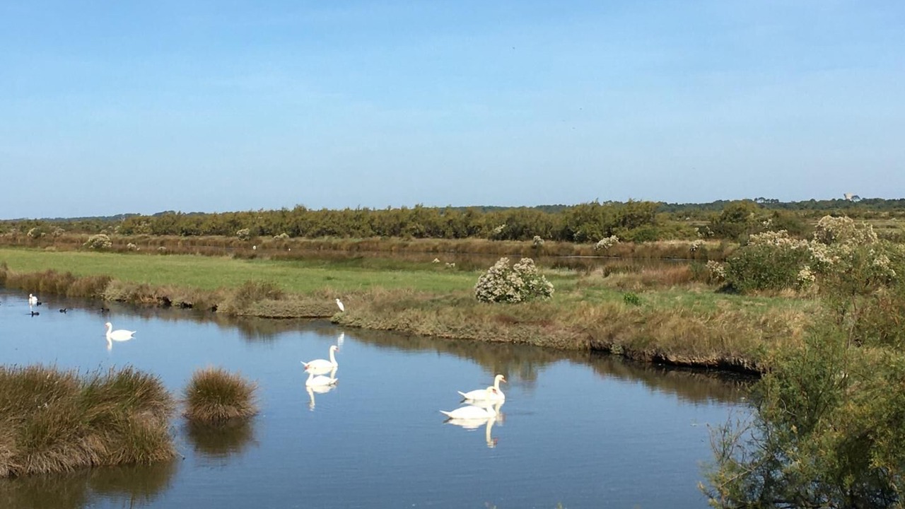 Photo of Others in Le Barp