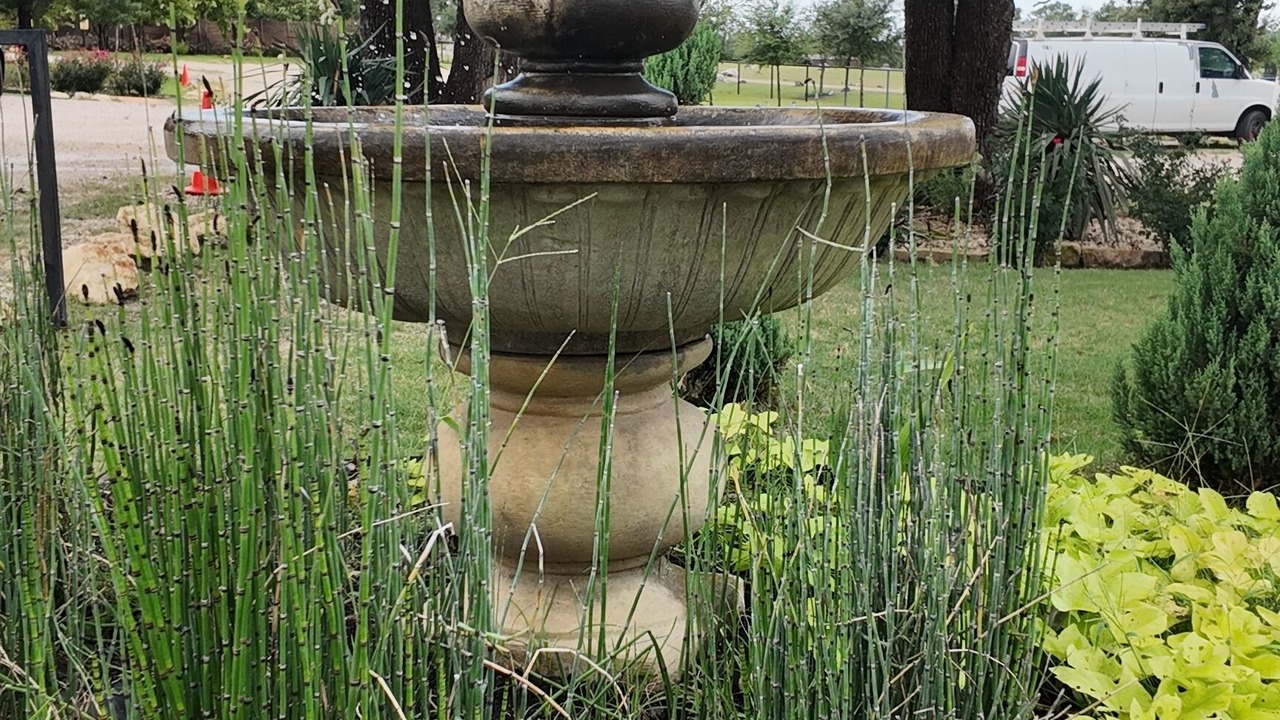 Photo of Outdoor in Elgin