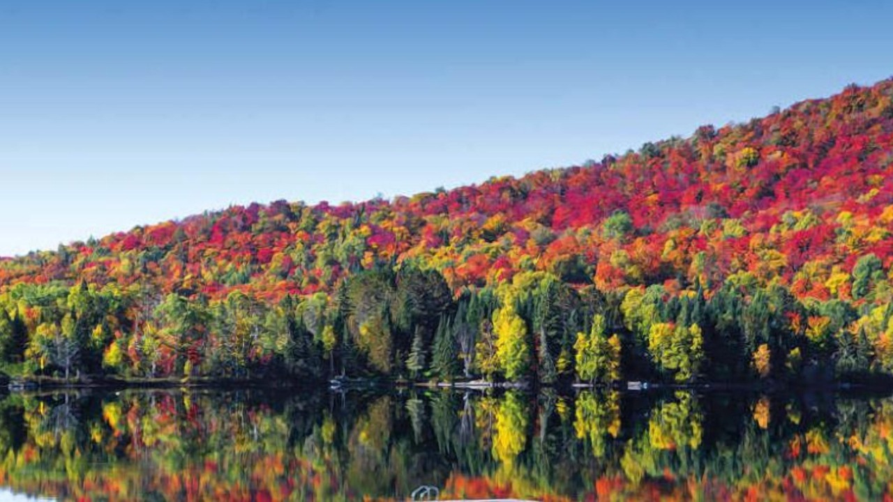 Photo of Others in Saint-Faustin-Lac-Carre