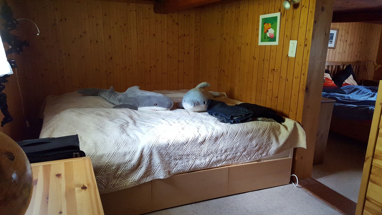 Photo of Bedroom in Elm