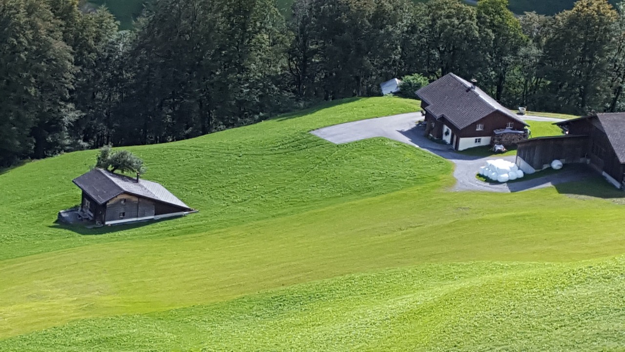 Photo of Outdoor in Elm