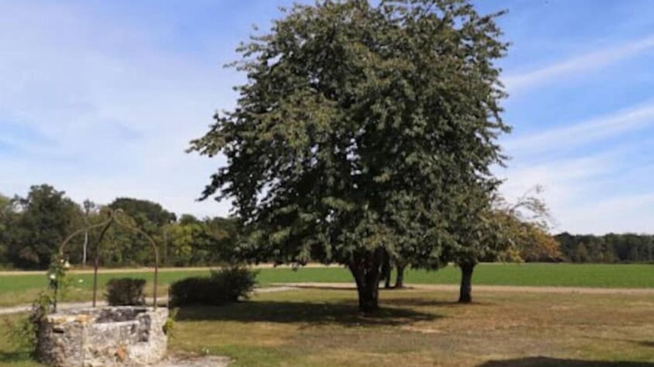 Photo of Outdoor in Lumigny-Nesles-Ormeaux