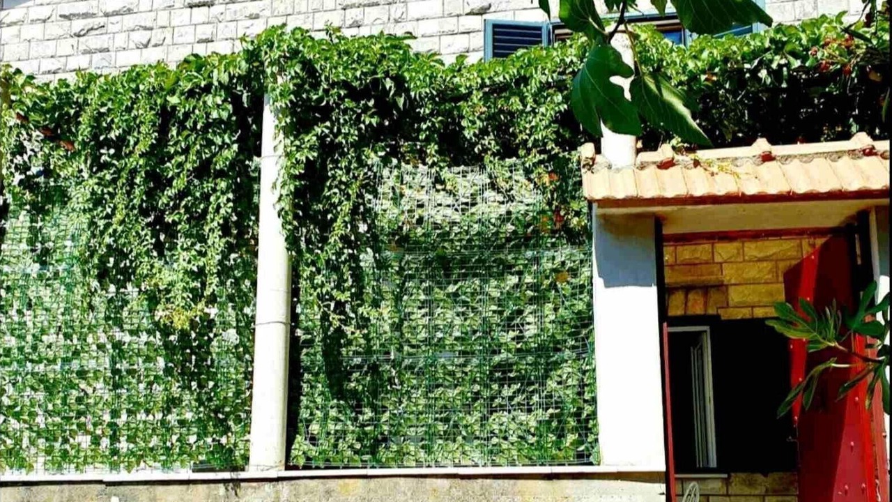 Photo of Outdoor in Gruz