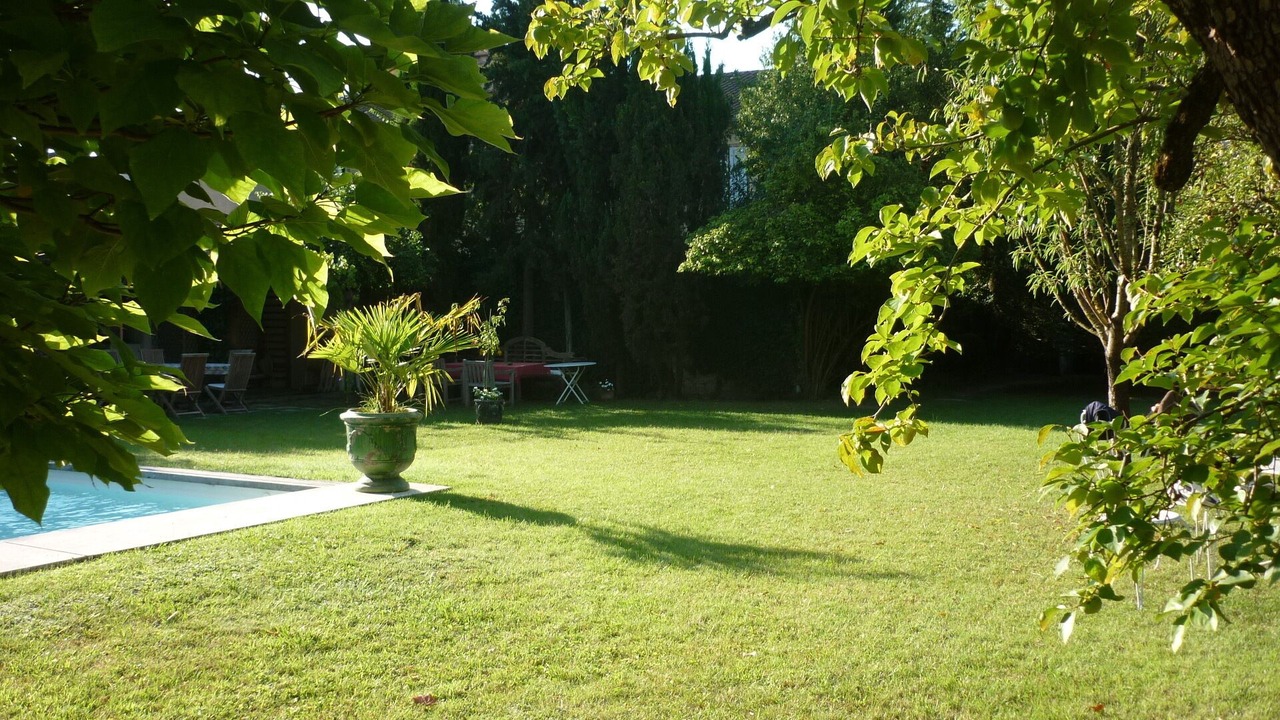 Photo of Outdoor in Cahors