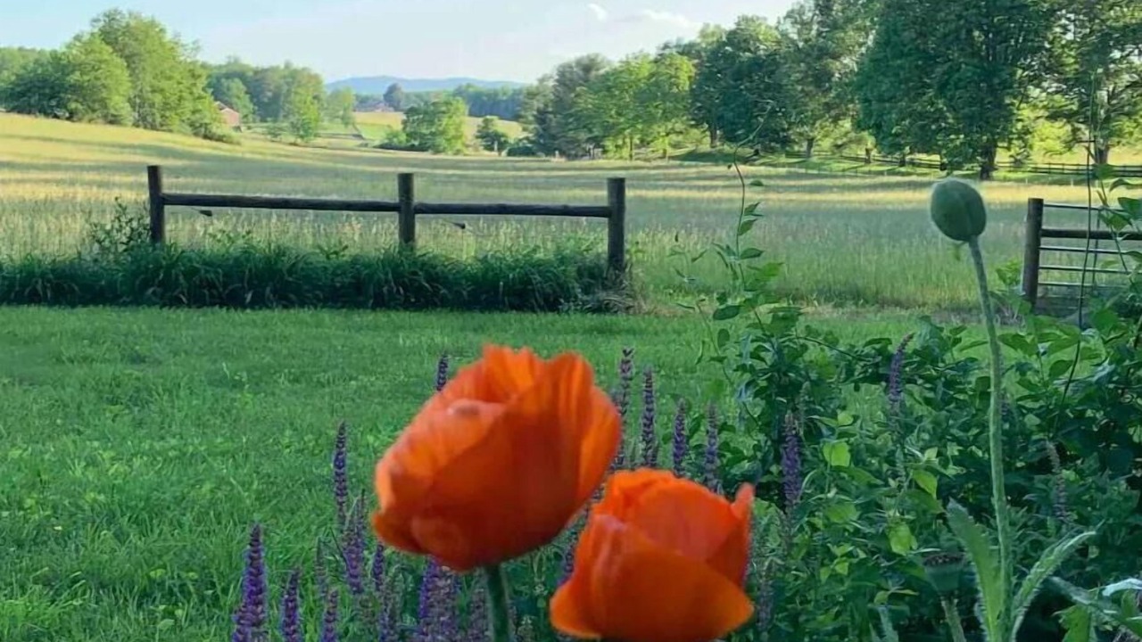 Photo of Outdoor in Waynesboro