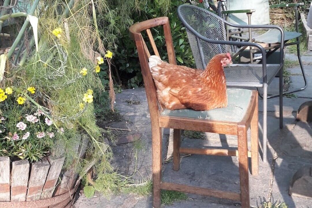 Photo of Patio Balcony in Tremain
