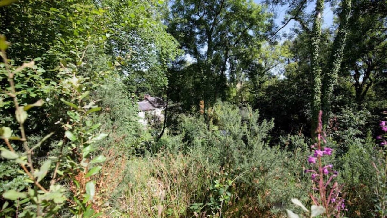 Photo of Outdoor in Tremain