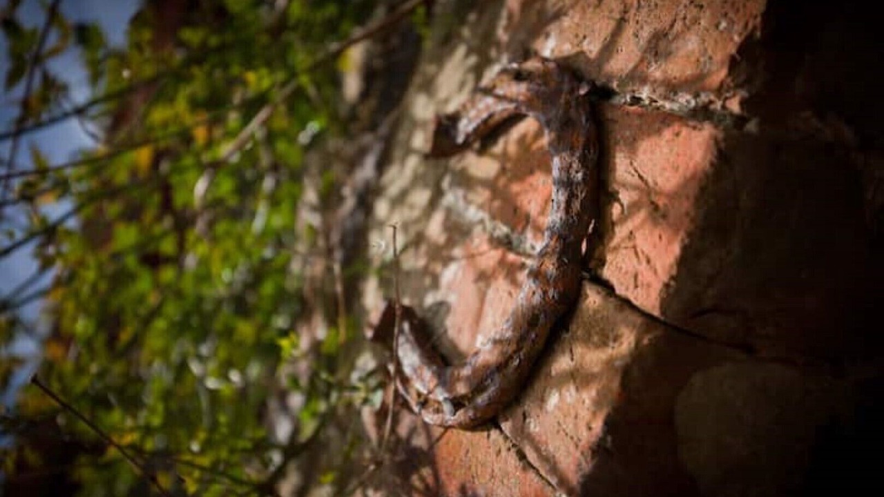 Photo of Outdoor in Tremain