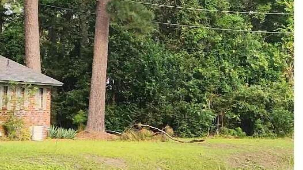 Photo of Outdoor in Pooler