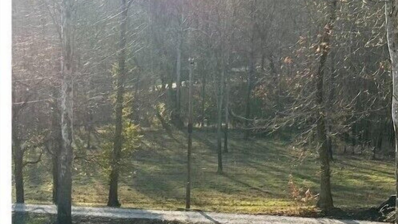 Photo of Others in Shoals