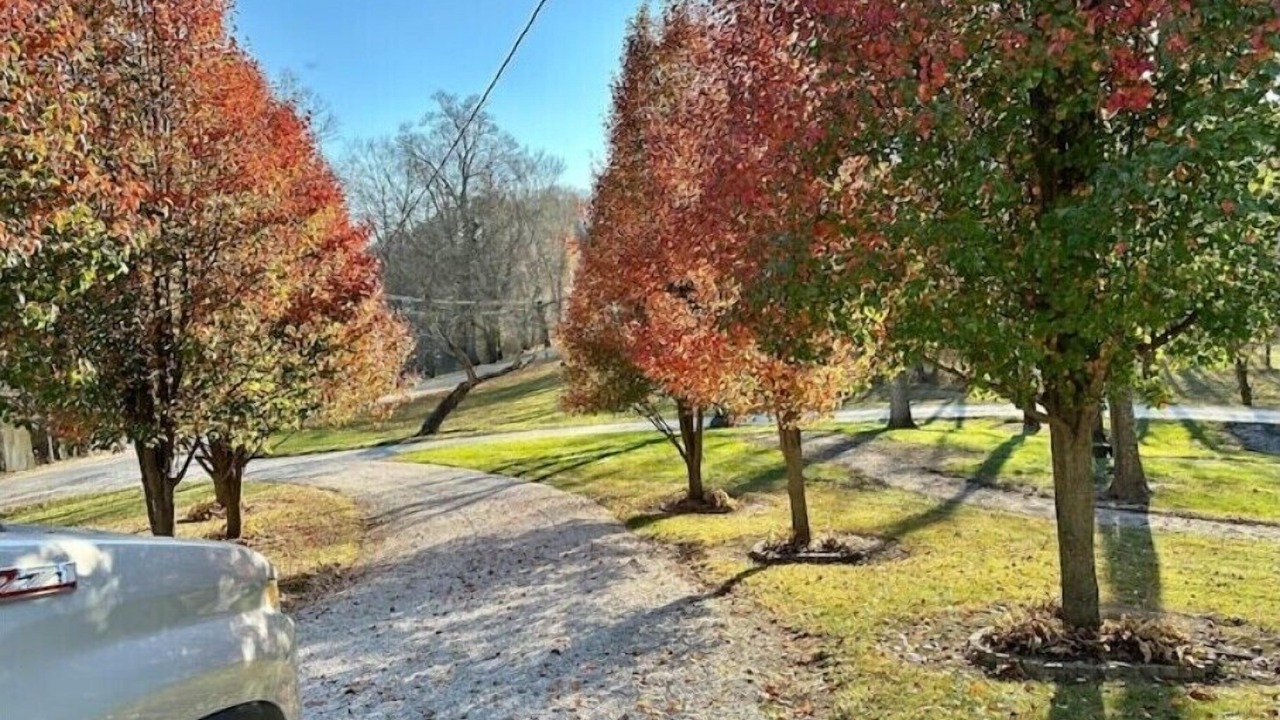 Photo of Others in Shoals