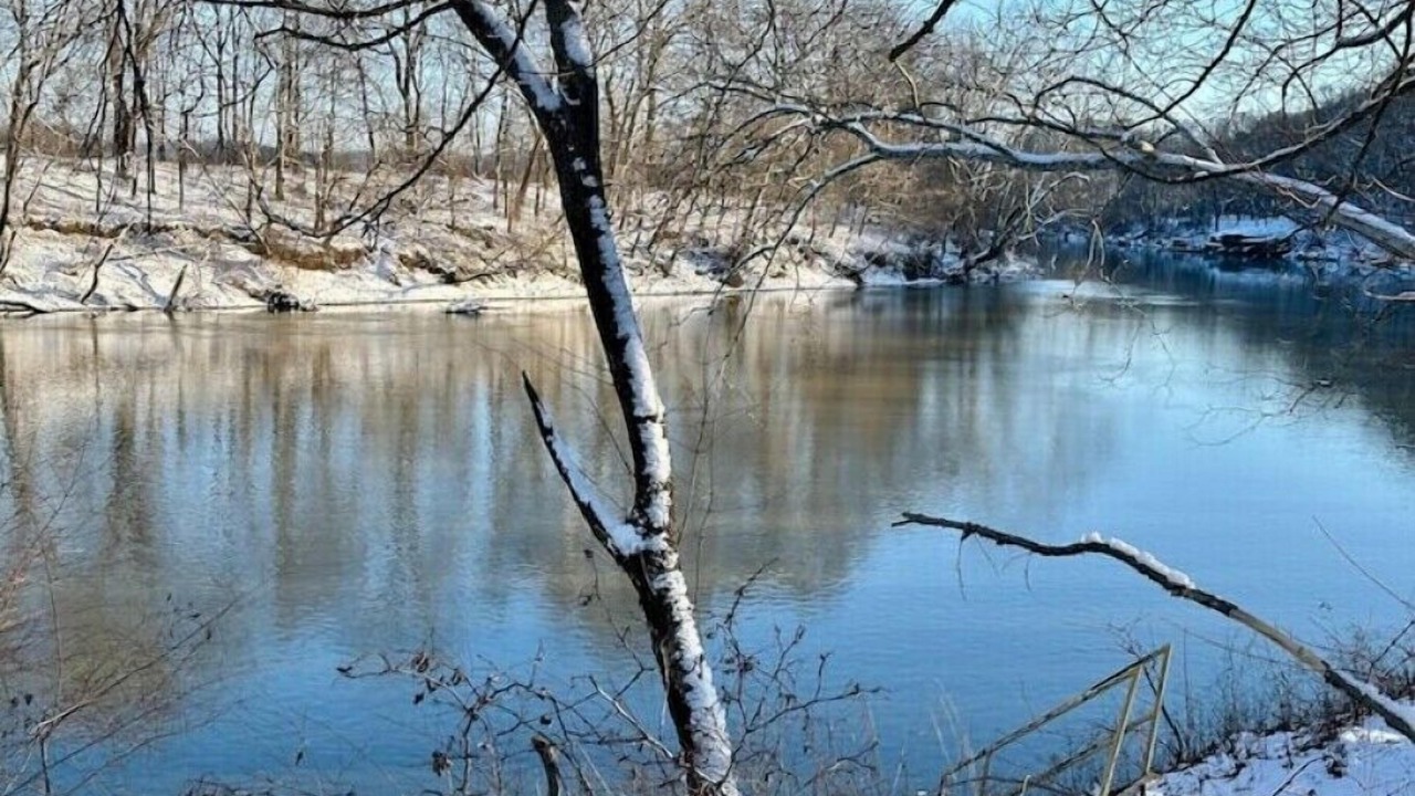 Photo of Others in Shoals