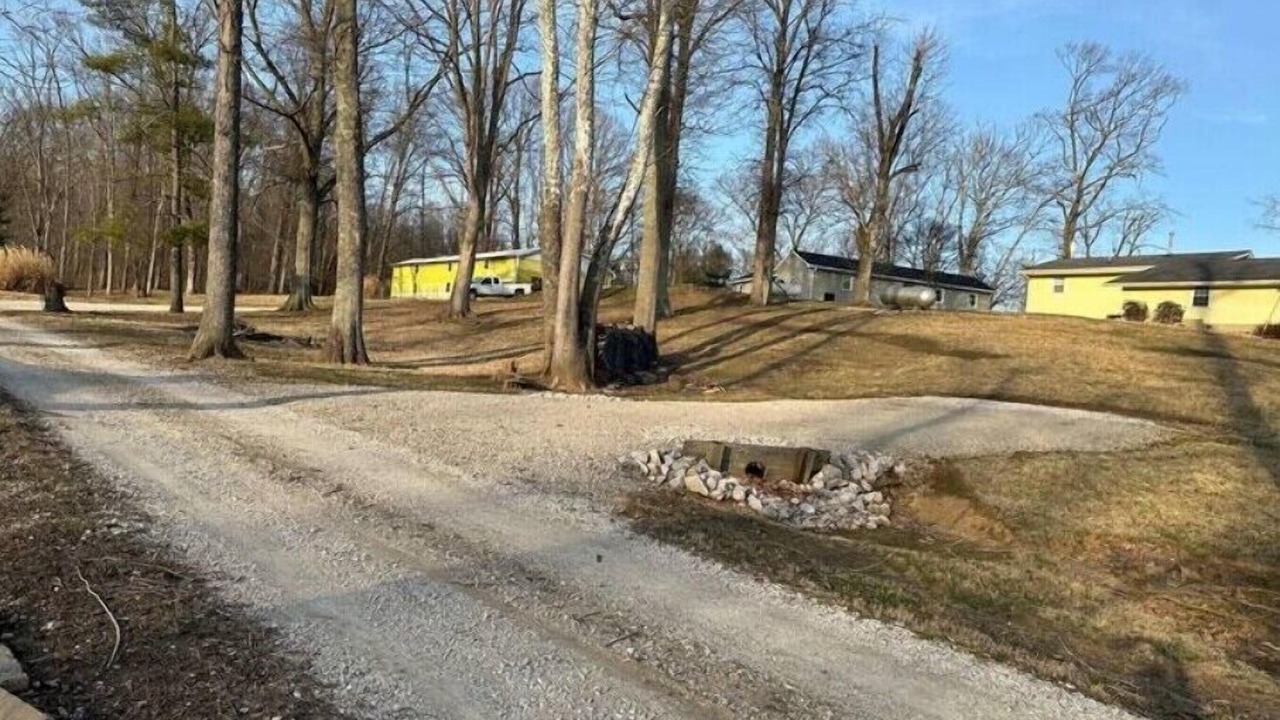 Photo of Others in Shoals