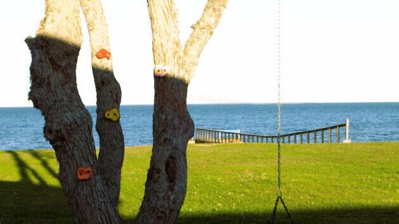 Photo of Others in Port Lavaca
