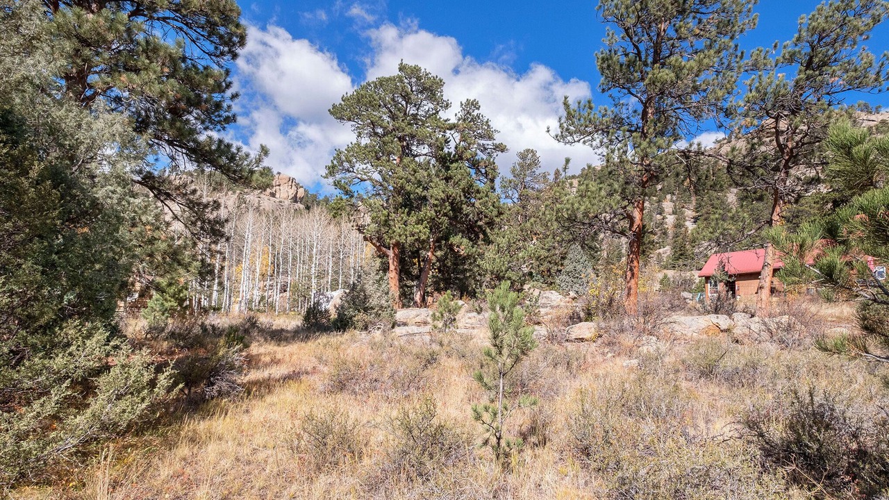 Photo of Others in Estes Park