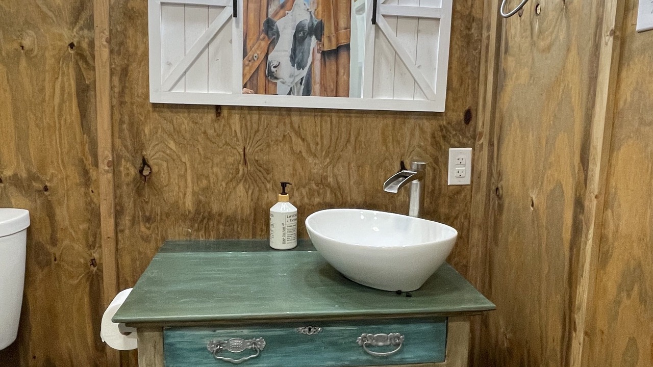 Photo of Bathroom in Alba