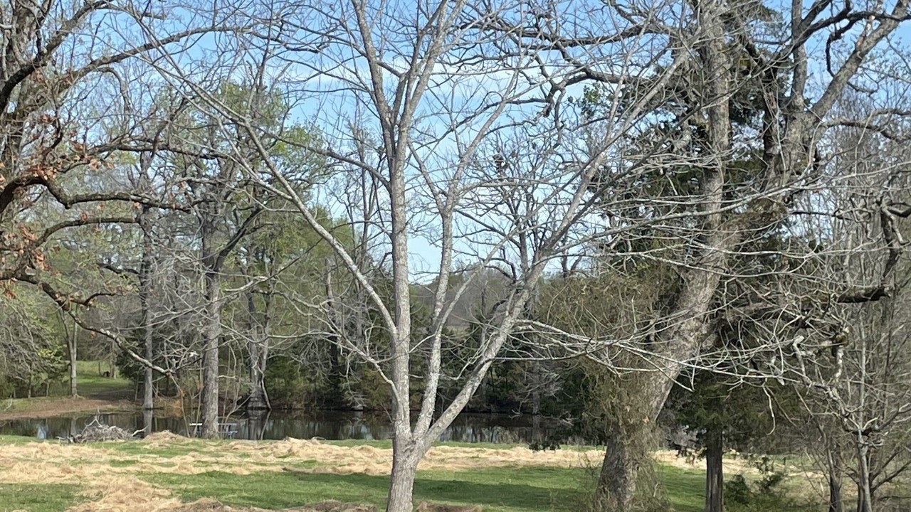 Photo of Others in Alba