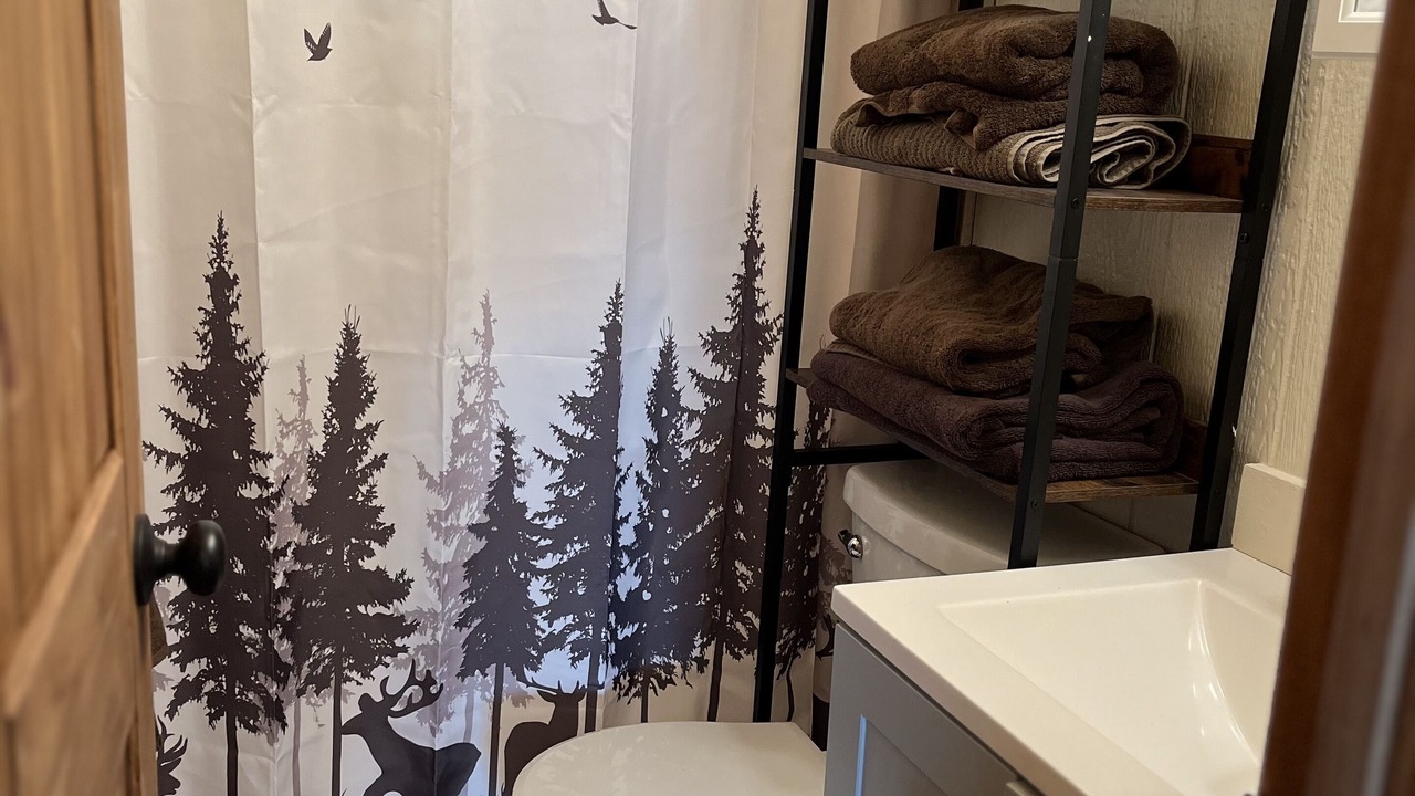 Photo of Bathroom in Burneyville