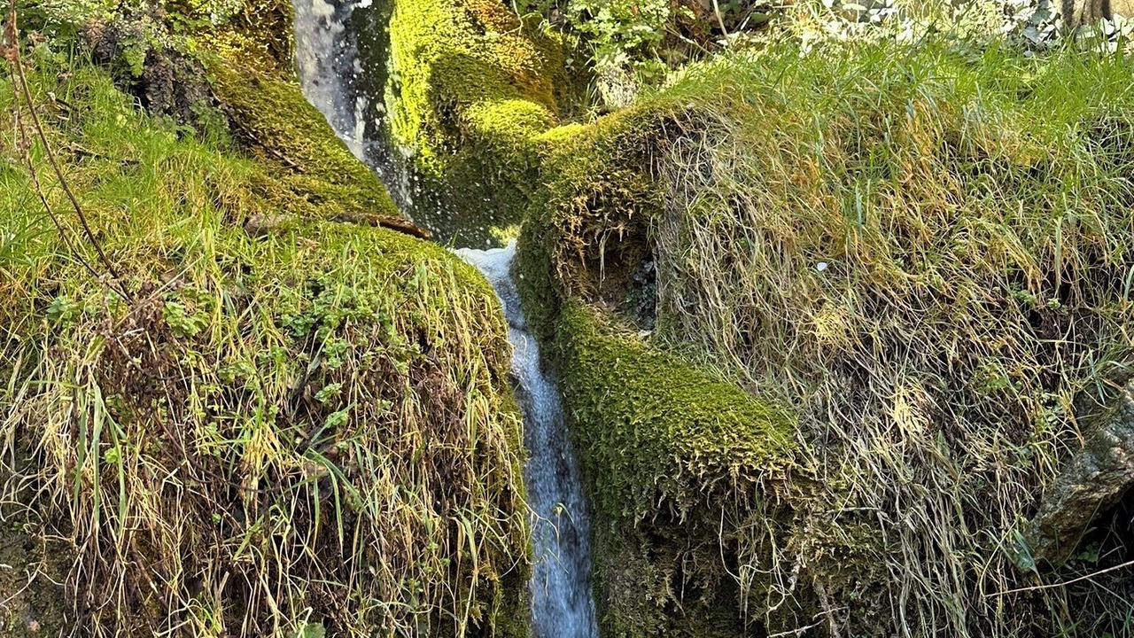Photo of Outdoor in Otos