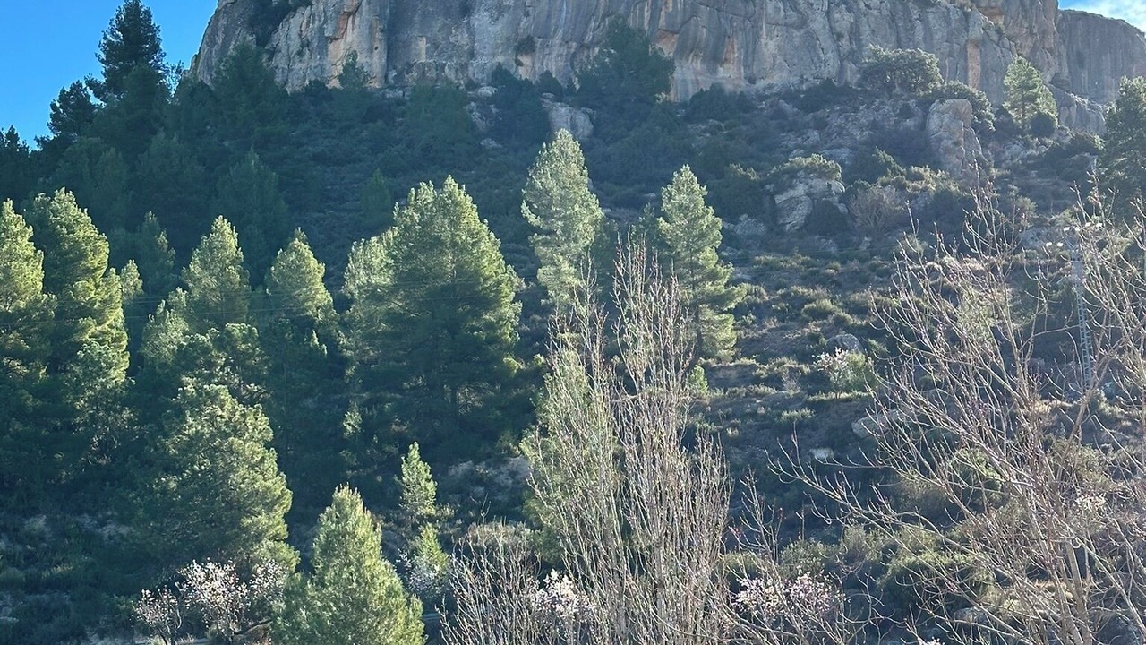 Photo of Others in Otos