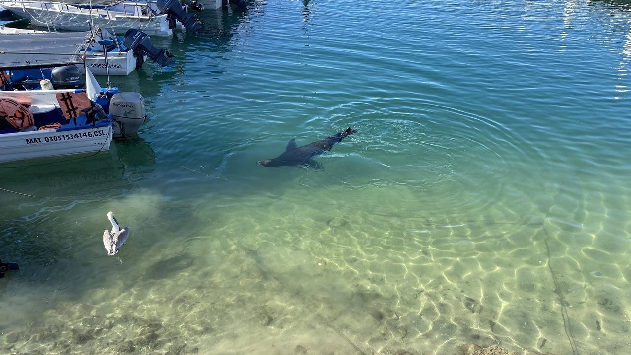 Photo of Others in Centro