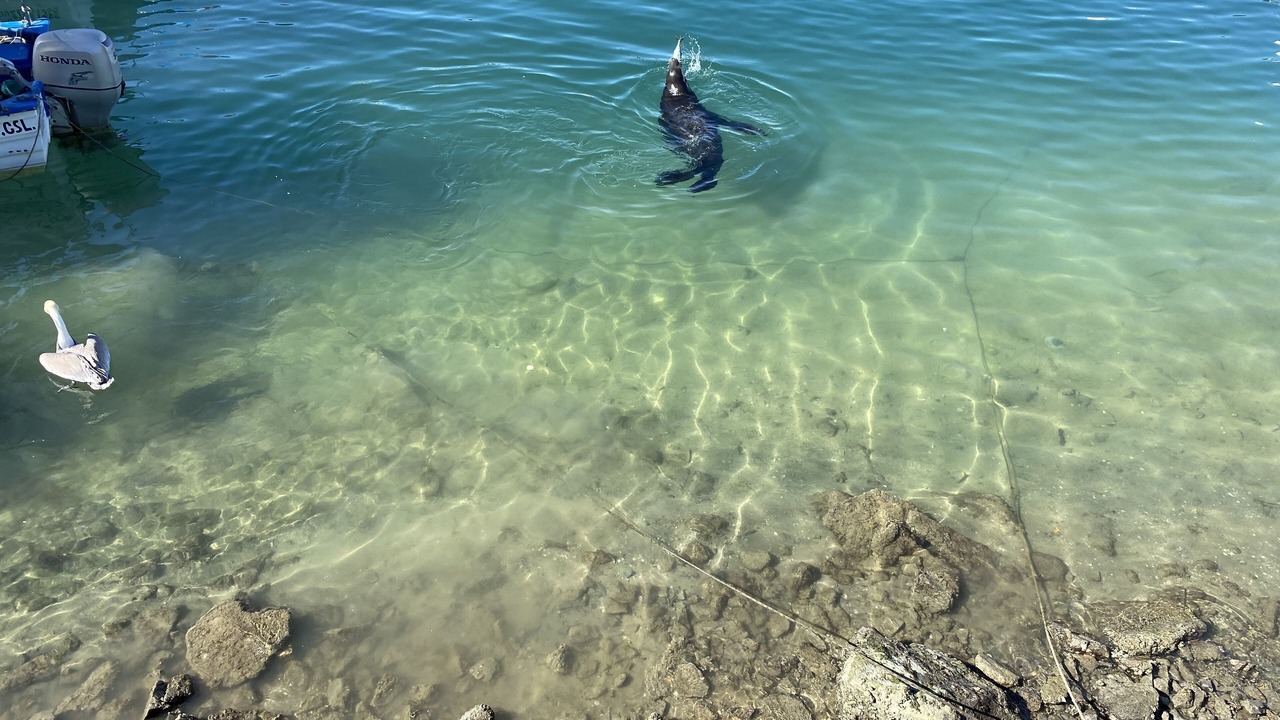 Photo of Others in Centro