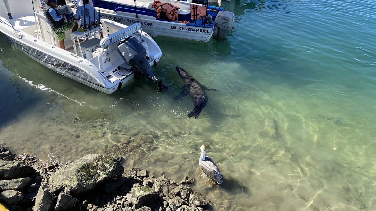 Photo of Others in Centro