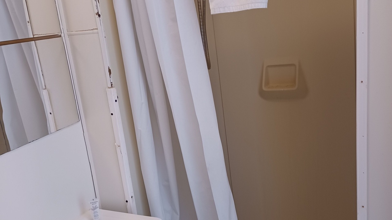 Photo of Bathroom in Dinosaur