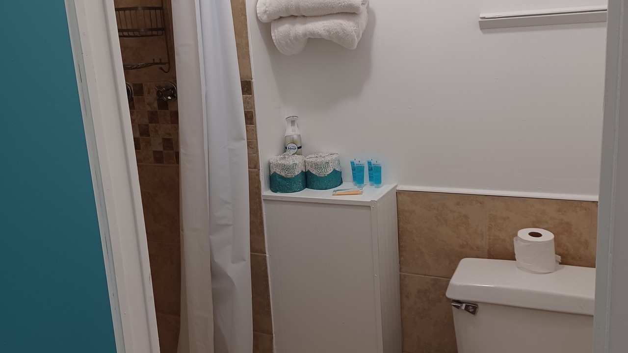 Photo of Bathroom in Dinosaur