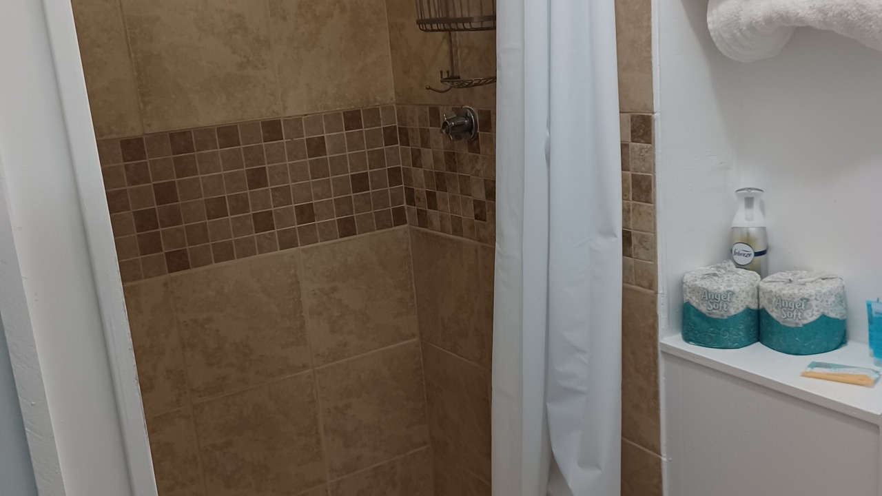 Photo of Bathroom in Dinosaur