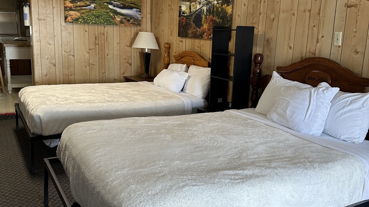 Photo of Bedroom in Dinosaur