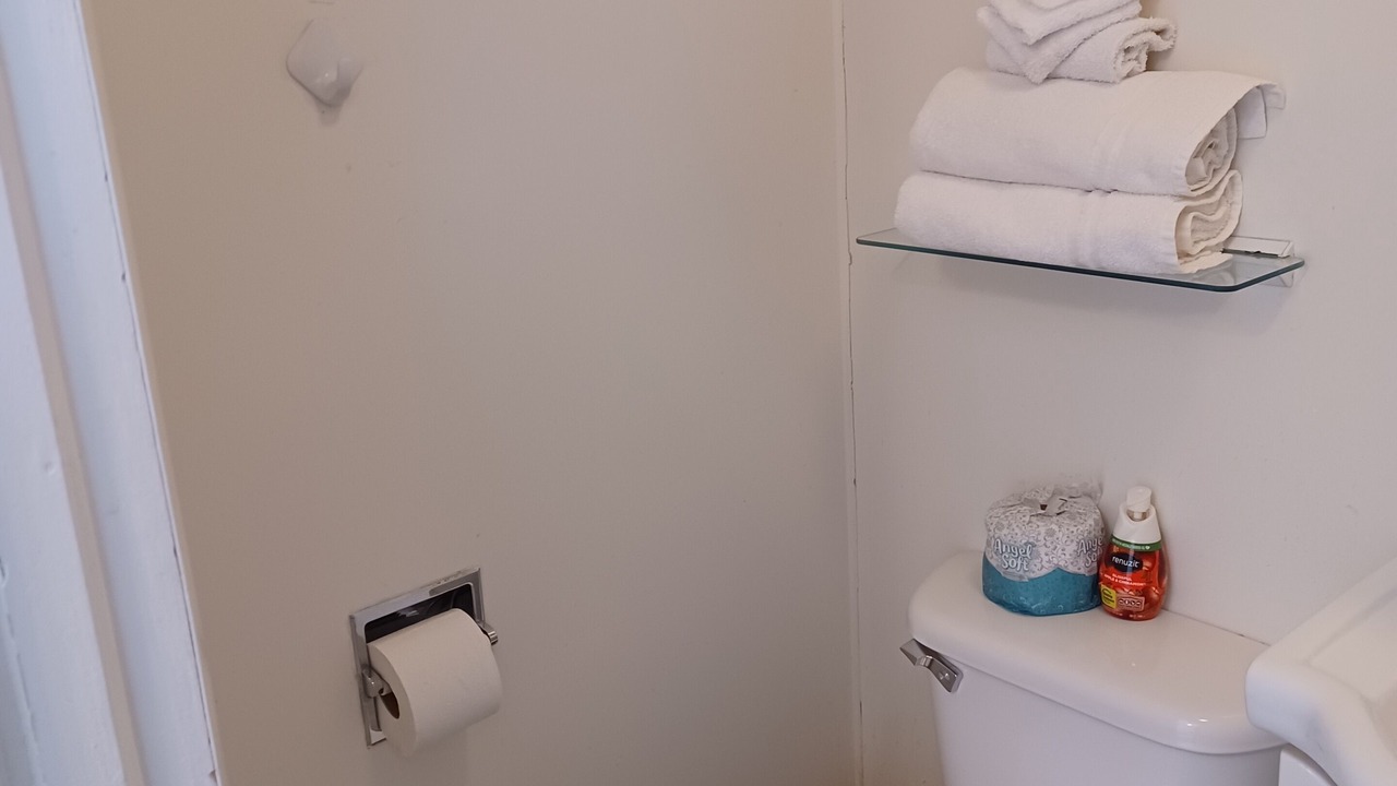 Photo of Bathroom in Dinosaur