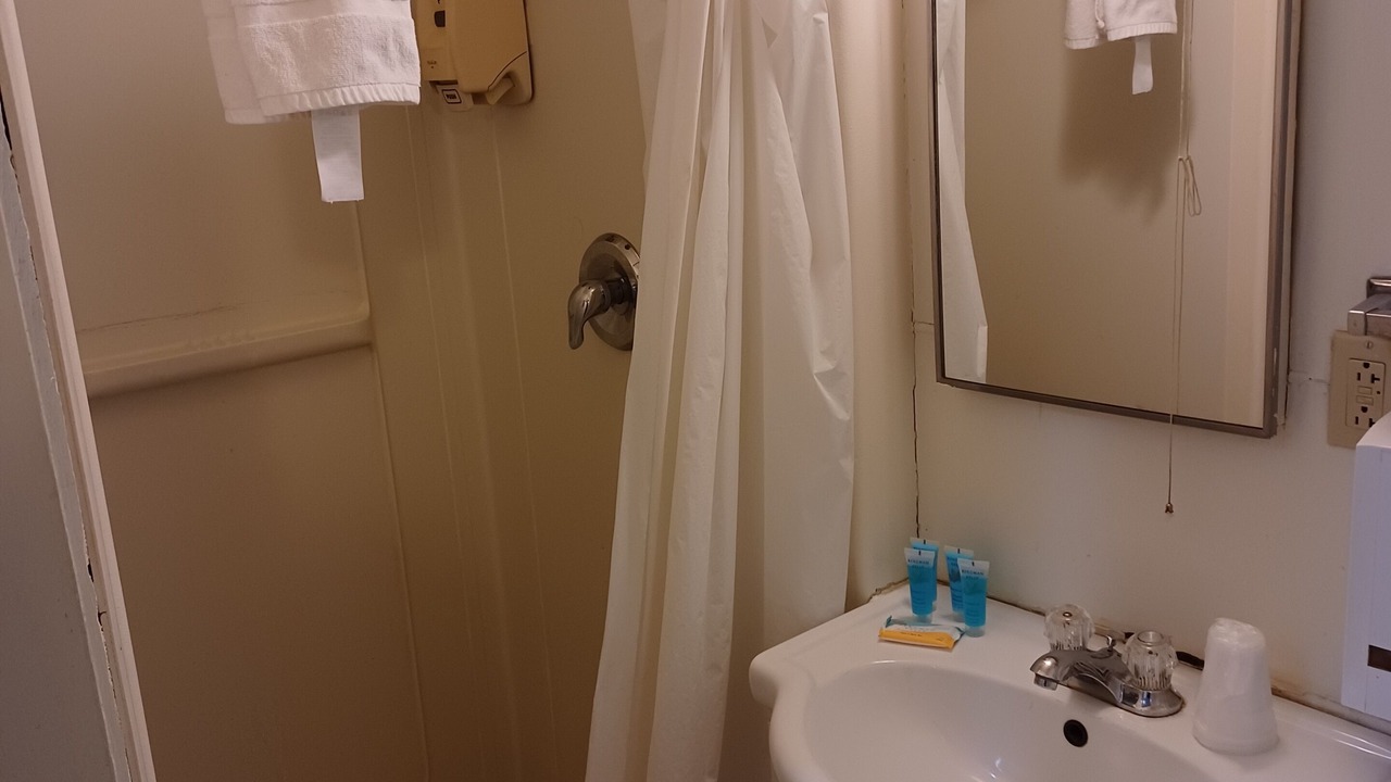Photo of Bathroom in Dinosaur