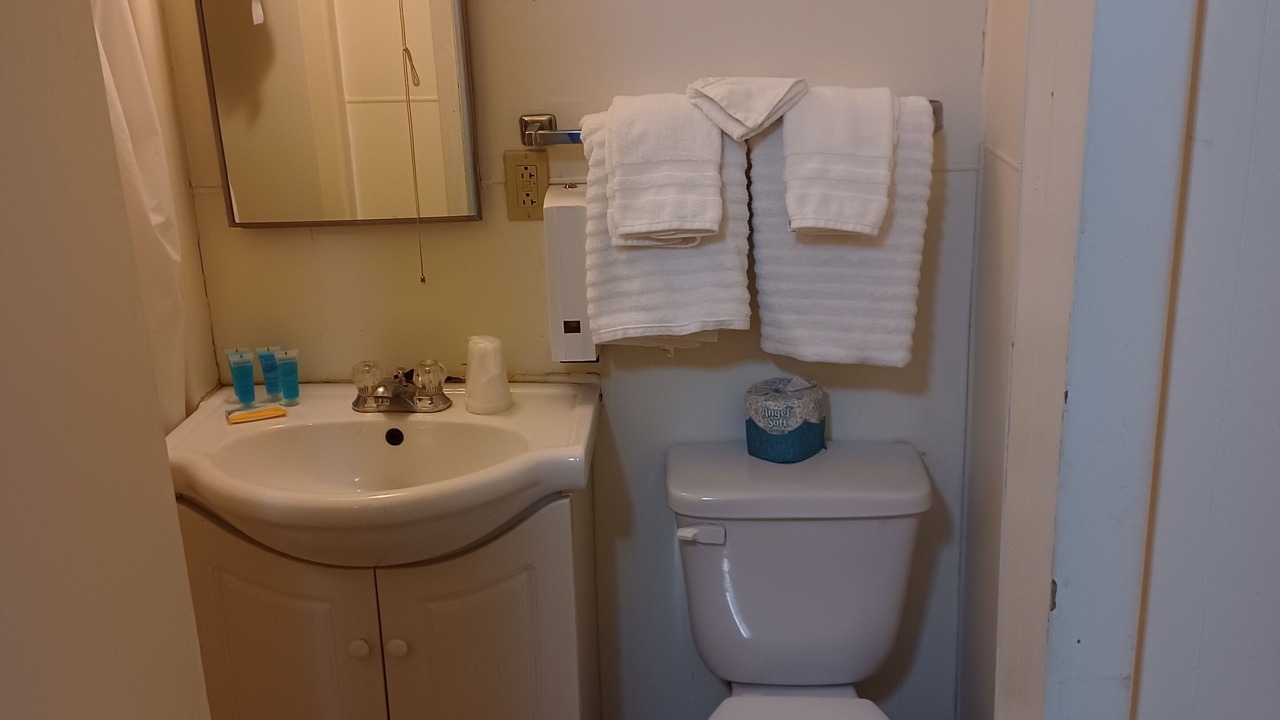 Photo of Bathroom in Dinosaur