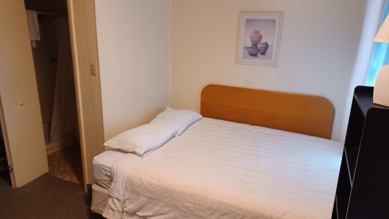 Photo of Bedroom in Dinosaur