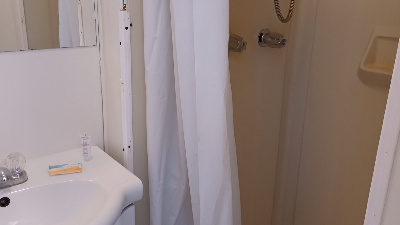Photo of Bathroom in Dinosaur