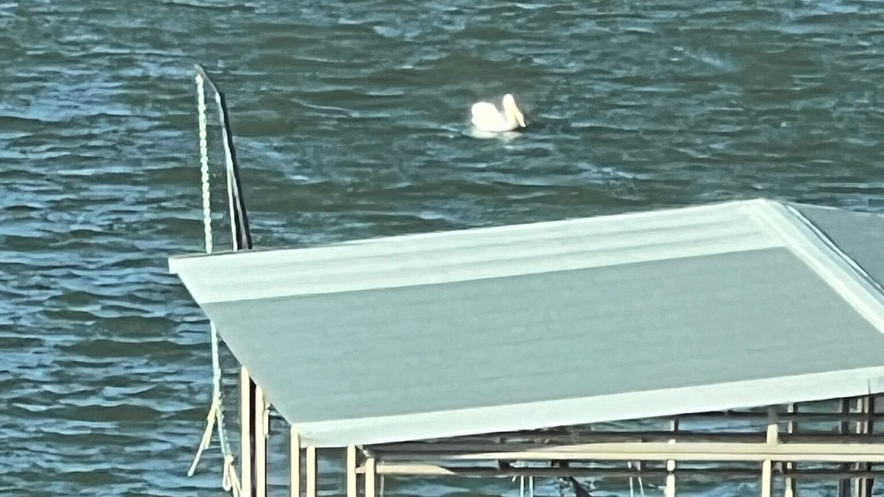 Photo of Others in Graham