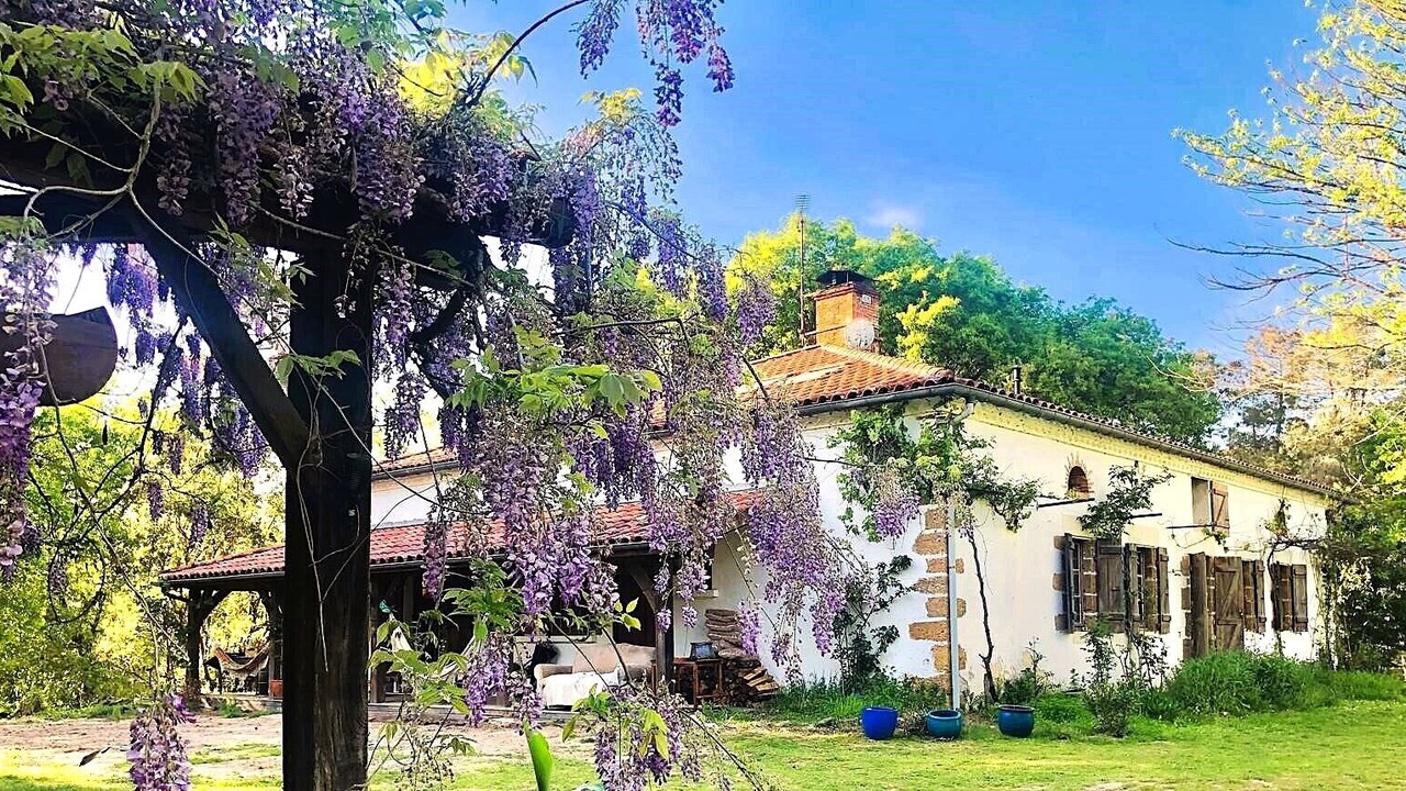 Photo of Outdoor in Arjuzanx