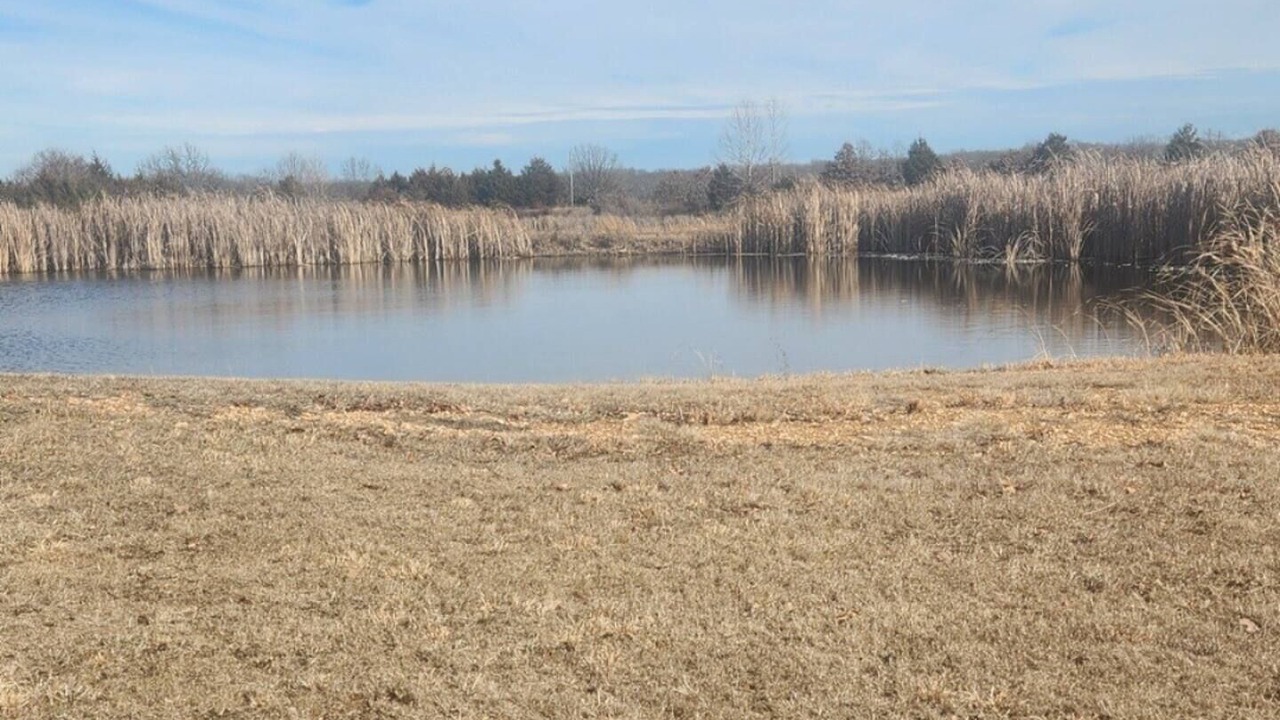 Photo of Others in Richland