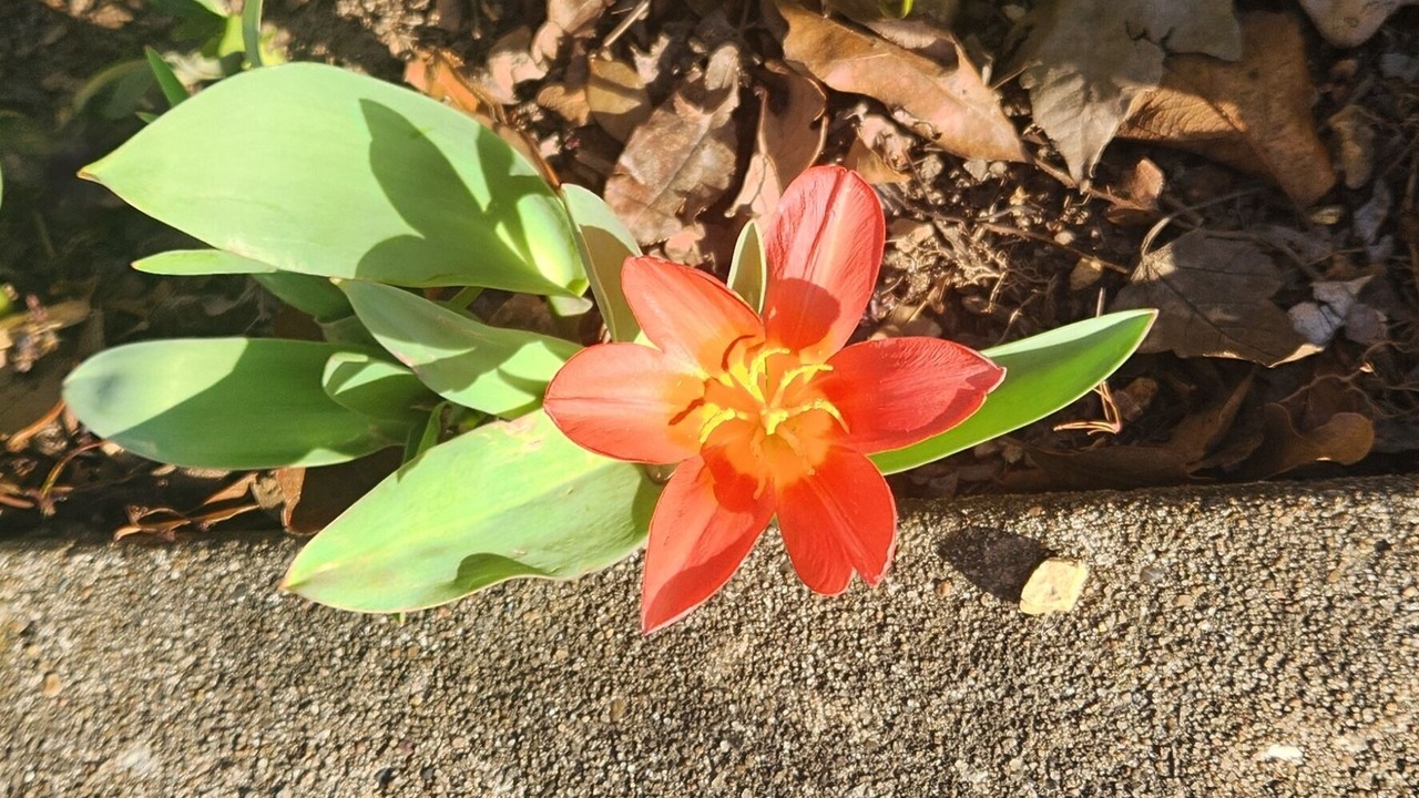 Photo of Outdoor in Richland