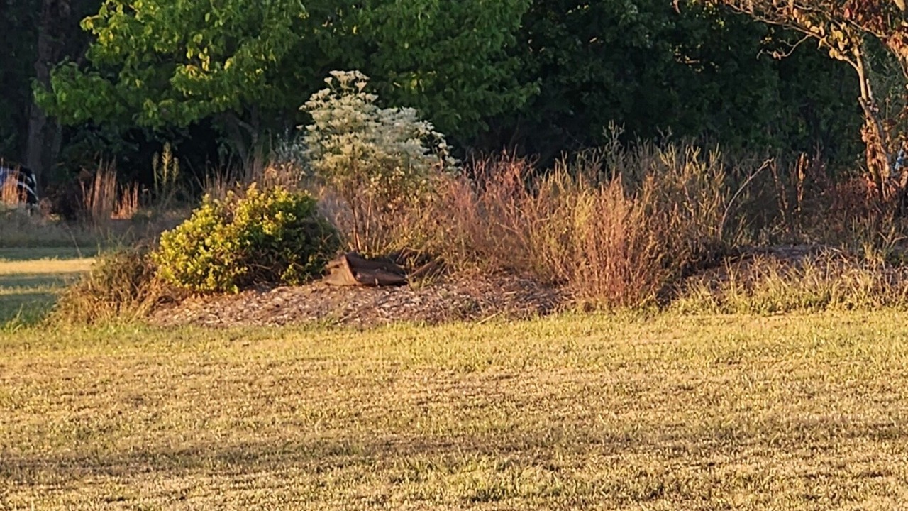 Photo of Outdoor in Richland