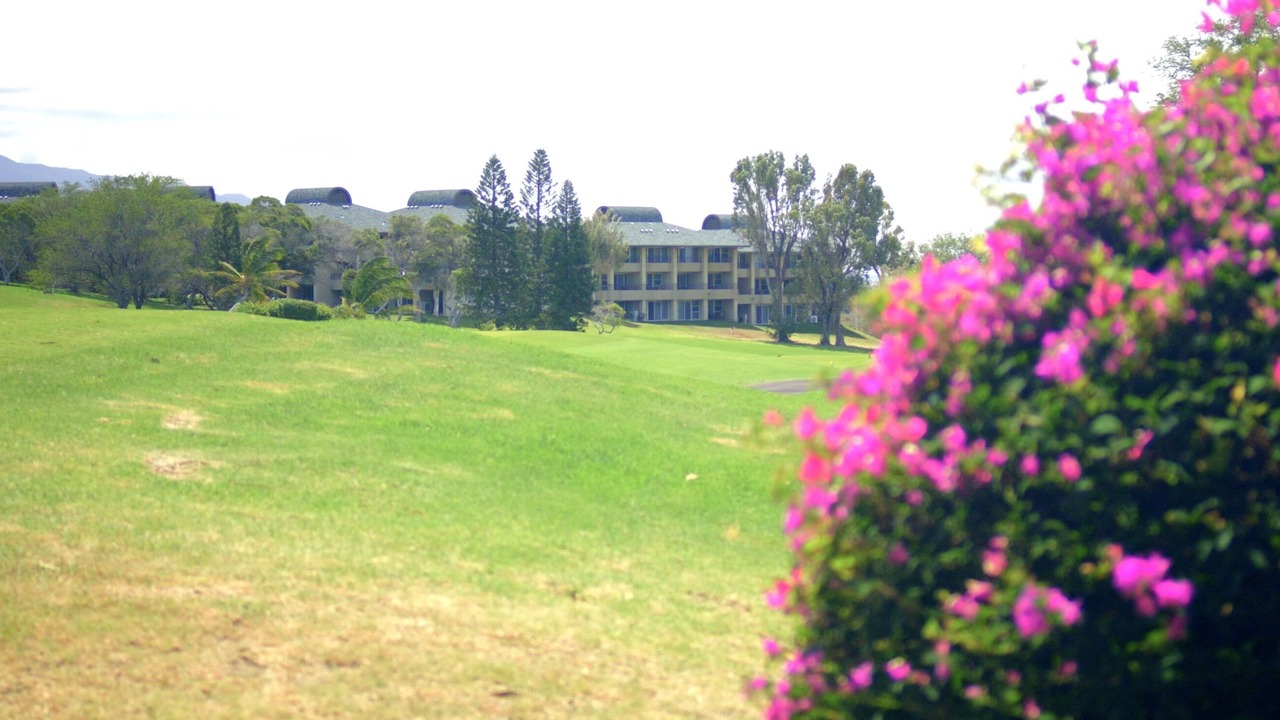 Photo of Others in Waikoloa Village