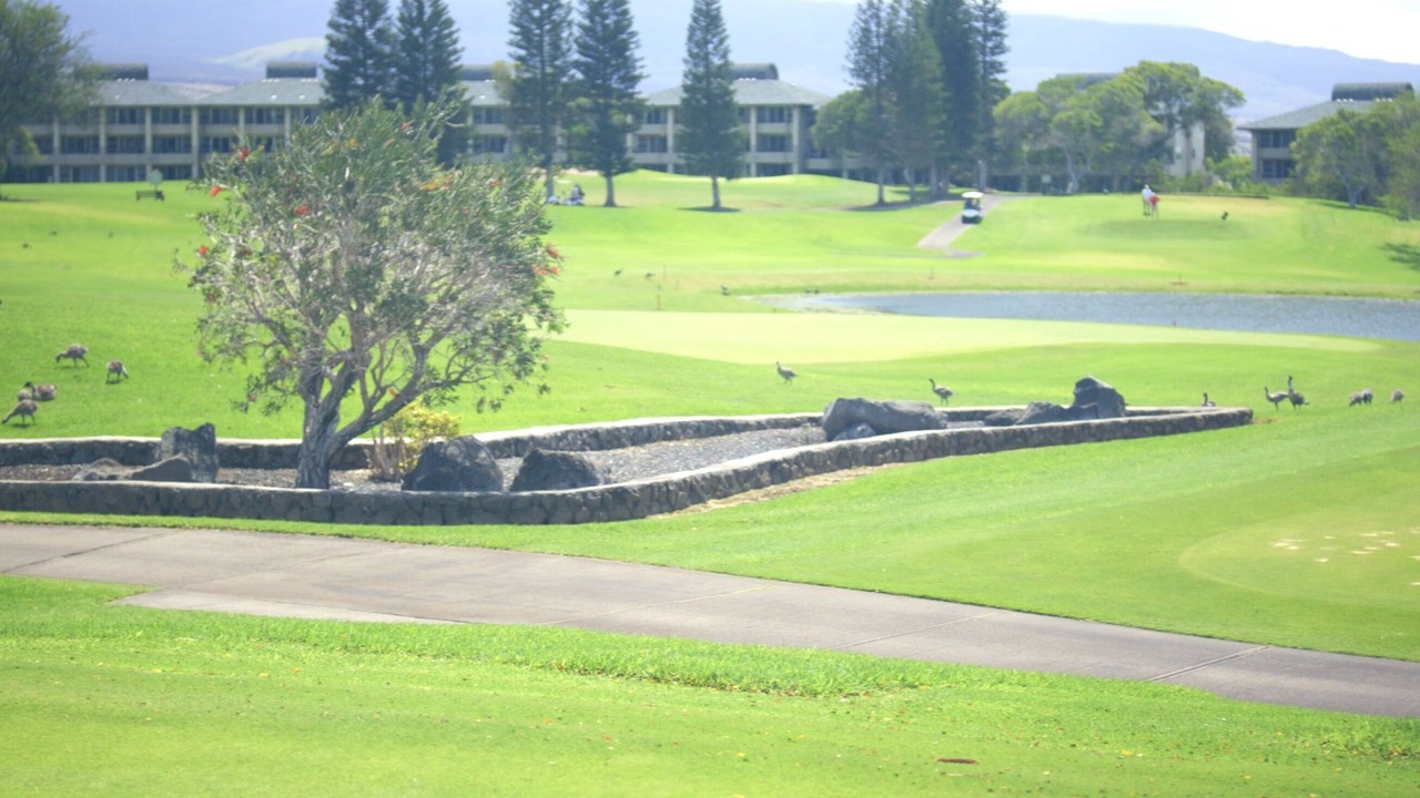 Photo of Others in Waikoloa Village